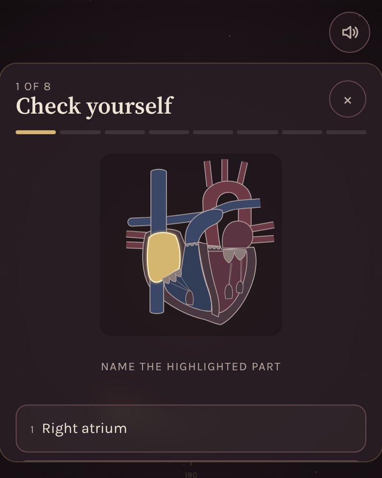 A heart diagram with one chamber highlighted and three answers